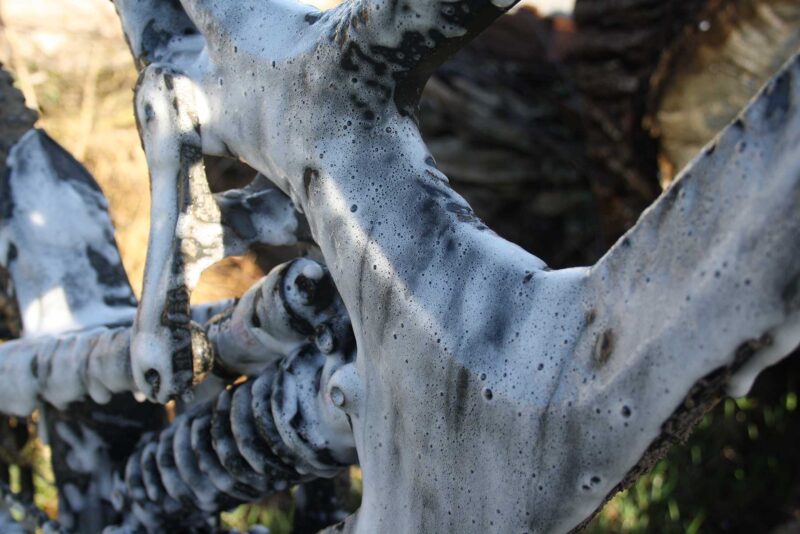 Cycle Tungsten Bundle - Image 10